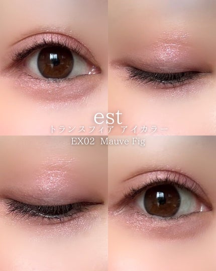 エスト トランスフィア アイカラー/est/アイシャドウパレットを使ったクチコミ(9枚目)