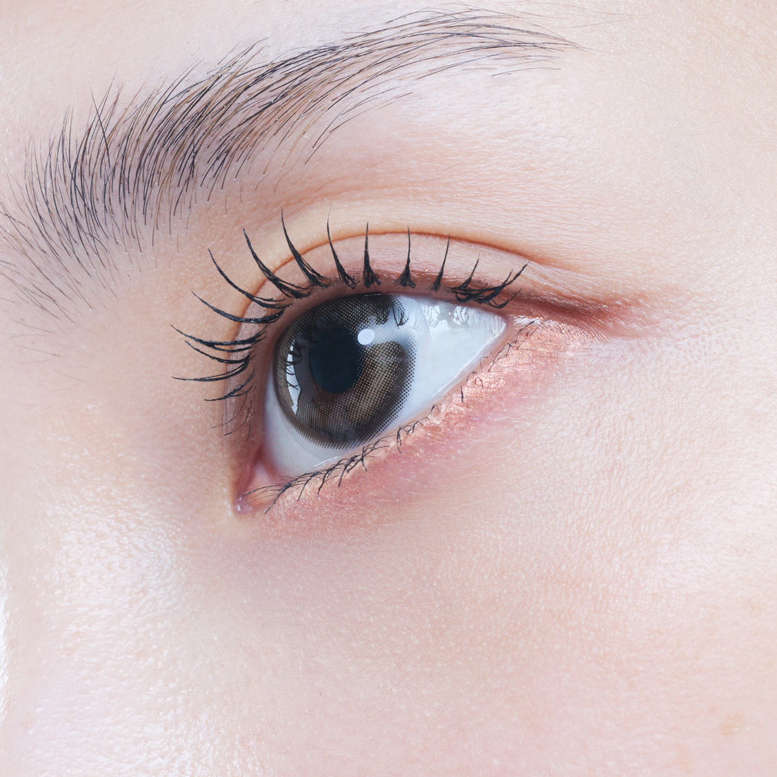 eyestar 1day デイグローブラウン 