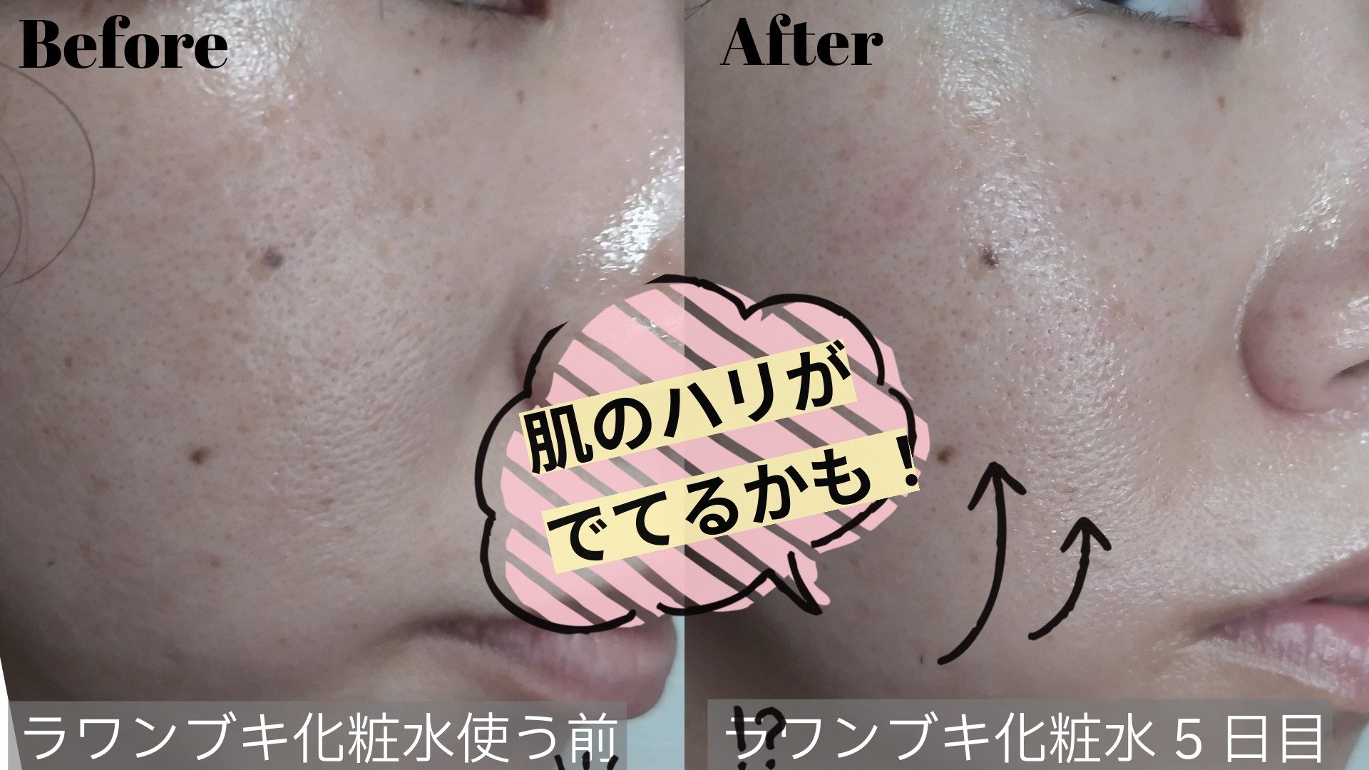 ラワンぶき化粧水/SHIRO/化粧水を使ったクチコミ（2枚目）