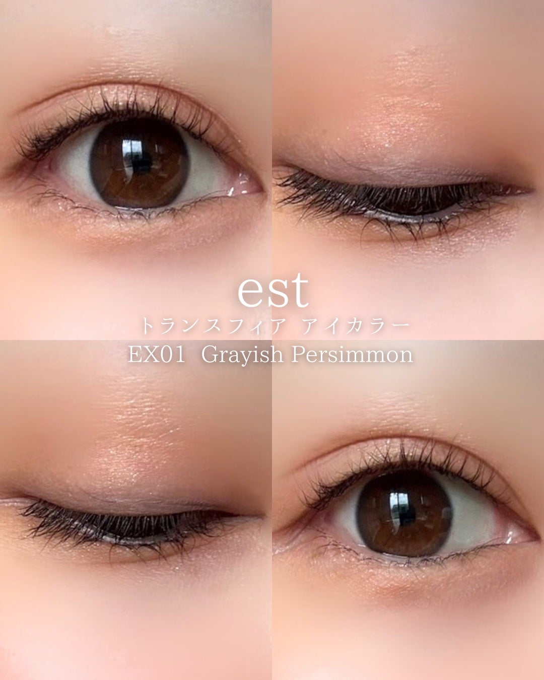 エスト トランスフィア アイカラー/est/アイシャドウパレットを使ったクチコミ(5枚目)