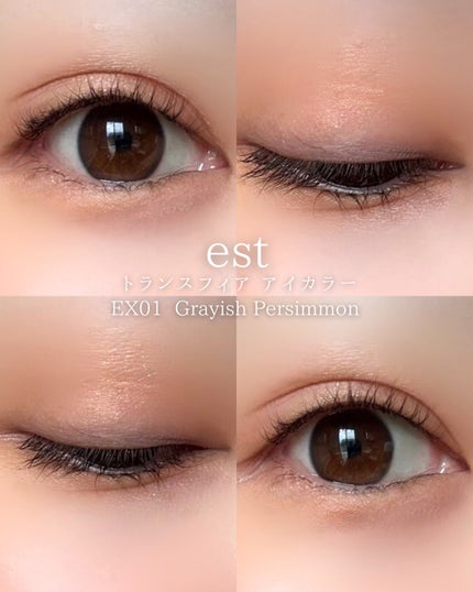 エスト トランスフィア アイカラー/est/アイシャドウパレットを使ったクチコミ(5枚目)