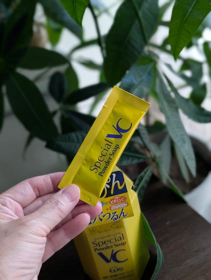 スペシャルパウダーソープVC/Cure/洗顔パウダーを使ったクチコミ(2枚目)