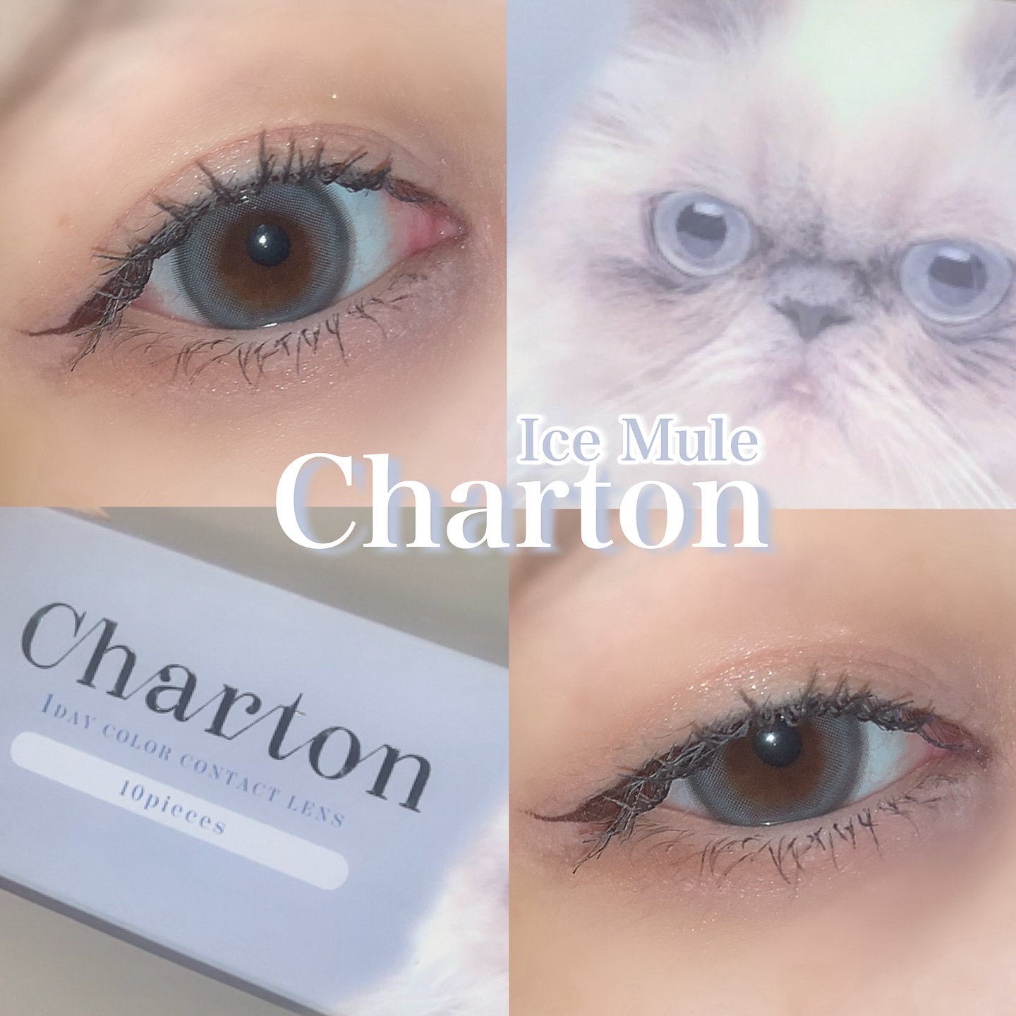 Charton 1day アイスミュール/Charton/ワンデー（１DAY）カラコンを使ったクチコミ（1枚目）