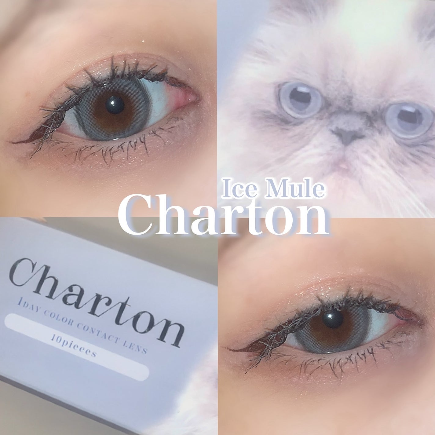 Charton 1day/Charton/ワンデー(1DAY)カラコンを使ったクチコミ(1枚目)