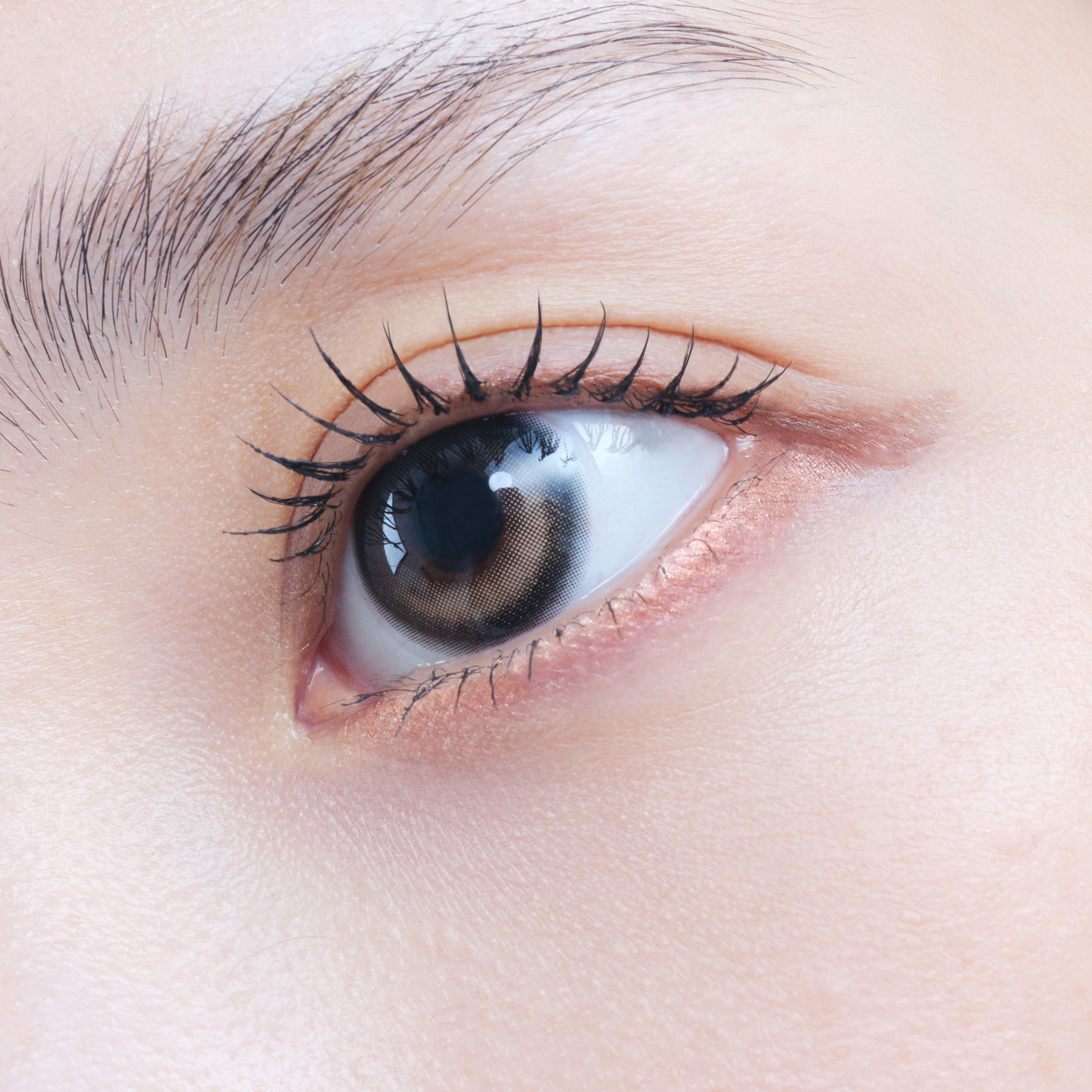 eyestar 1day アイコニックブラウン 