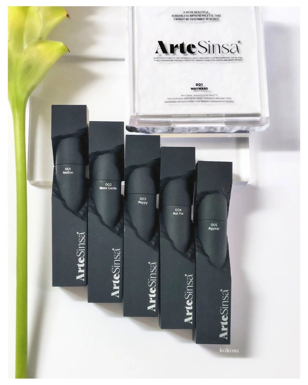 アンボイスドアイシャドウパレット/ArteSinsa/アイシャドウパレットを使ったクチコミ(4枚目)
