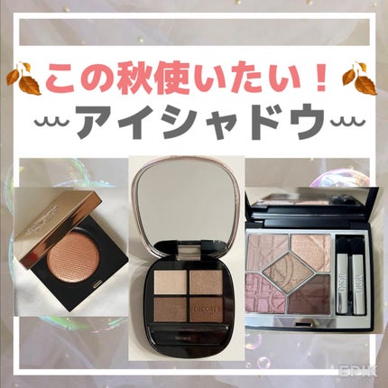 リュクスアイシャドウ/BOBBI BROWN/単色アイシャドウを使ったクチコミ(1枚目)