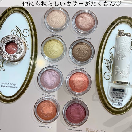 ポール & ジョー シマリング アイカラー/PAUL & JOE BEAUTE/単色アイシャドウを使ったクチコミ(5枚目)