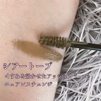 シアーカラーブロウ/デジャヴュ/眉マスカラを使ったクチコミ(4枚目)