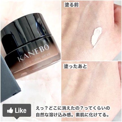 カネボウ ライブリースキン ウェアⅡ/KANEBO/リキッドファンデーションを使ったクチコミ(4枚目)