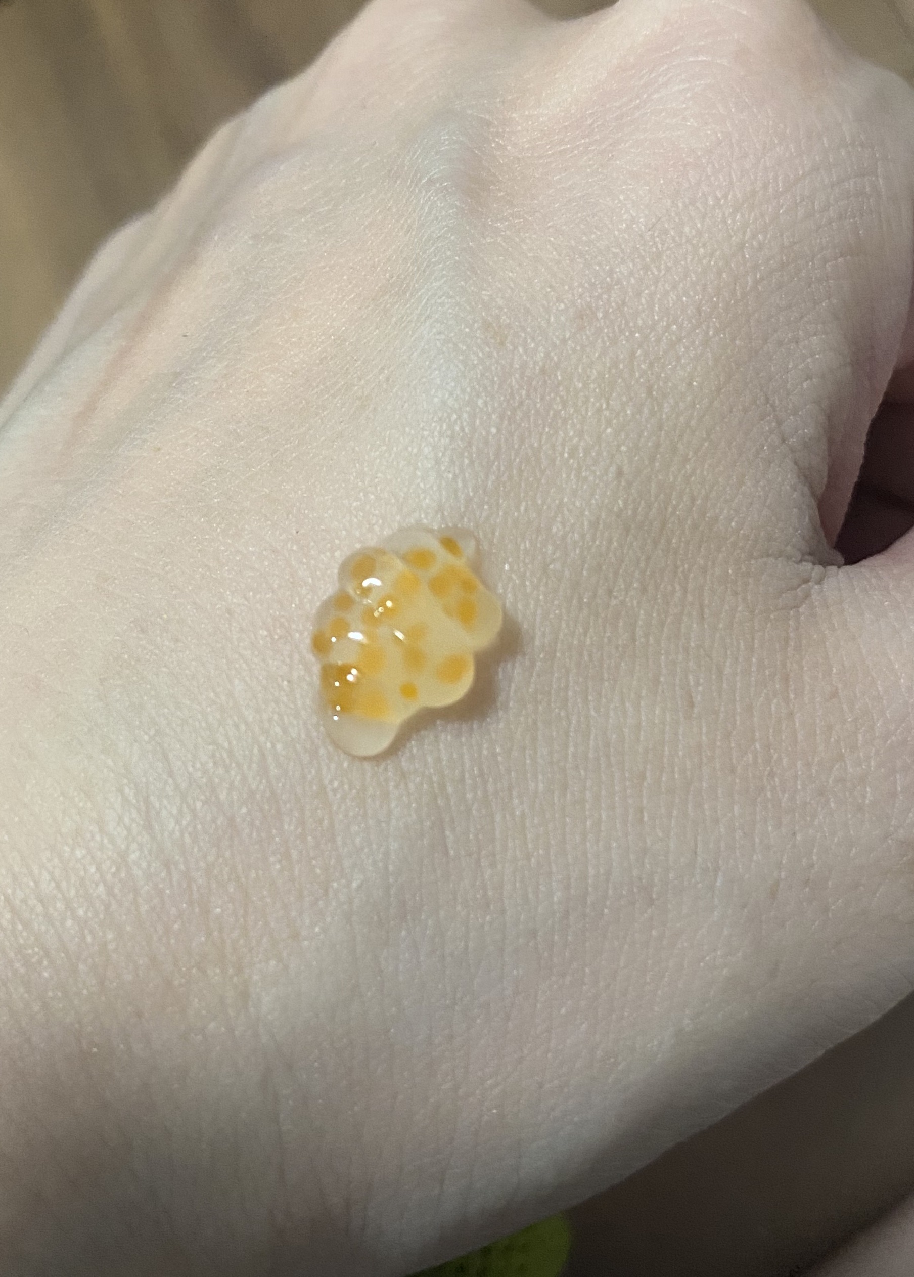 PDRNキューブクリーム/DPPR/フェイスクリームを使ったクチコミ（3枚目）