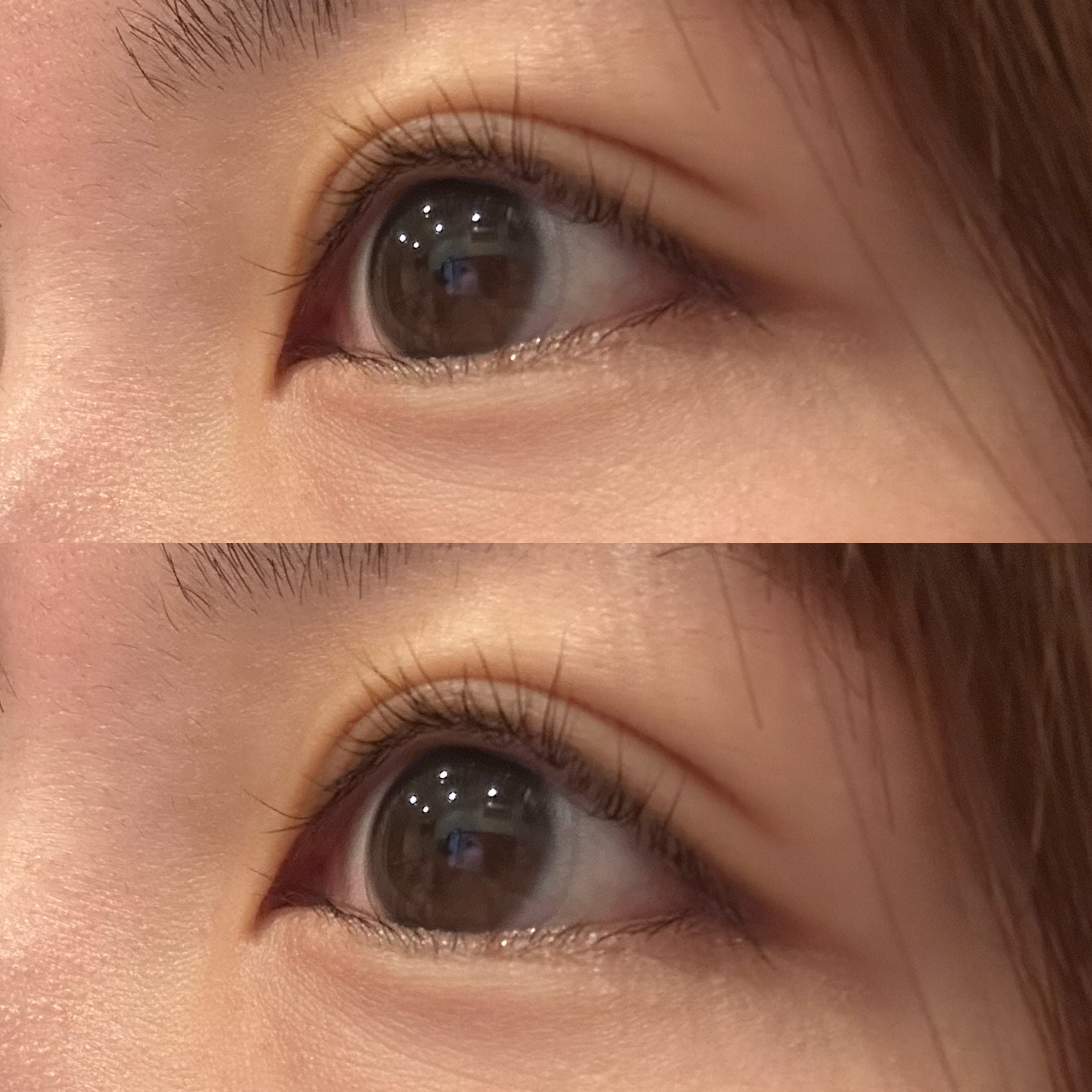 ラッシュジェリードロップ　ＥＸ/MAJOLICA MAJORCA/まつげ美容液を使ったクチコミ（1枚目）