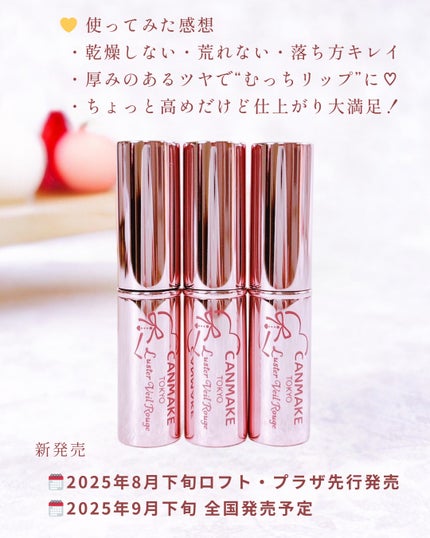 ラスターヴェールルージュ/キャンメイク/口紅を使ったクチコミ(6枚目)