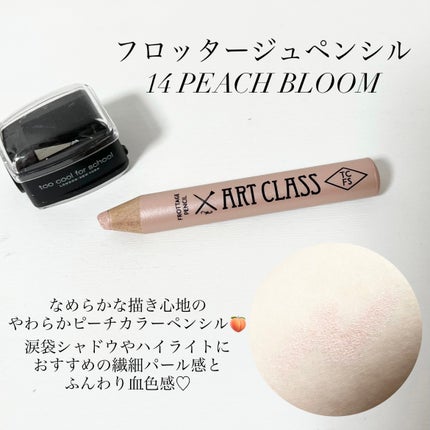 プロタージュアイパレット/too cool for school/アイシャドウパレットを使ったクチコミ(2枚目)