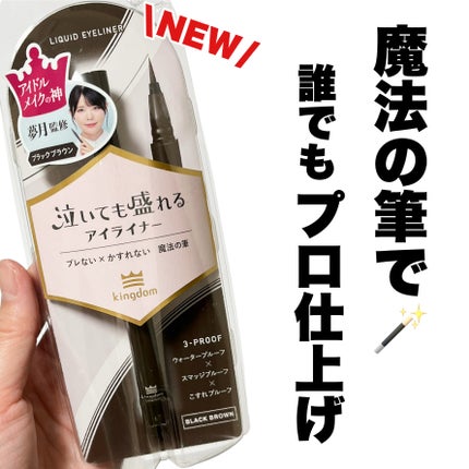 リキッドアイライナーTP/キングダム/リキッドアイライナーを使ったクチコミ(1枚目)