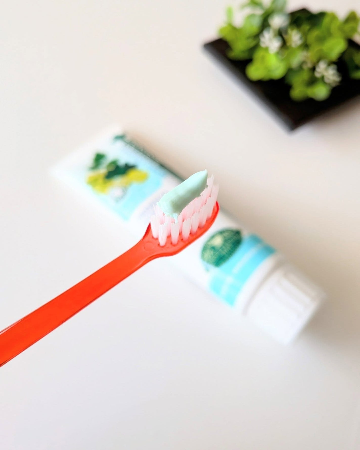 デンティス チューブタイプ/デンティス/歯磨き粉を使ったクチコミ(4枚目)