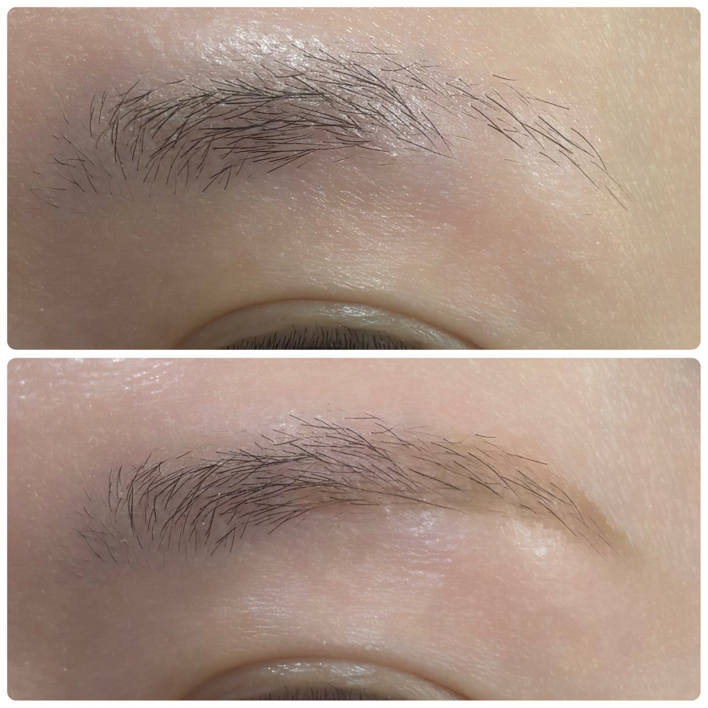 サナ ニューボーン イージーアイブロウ/サナ ニューボーン/アイブロウペンシルを使ったクチコミ(5枚目)