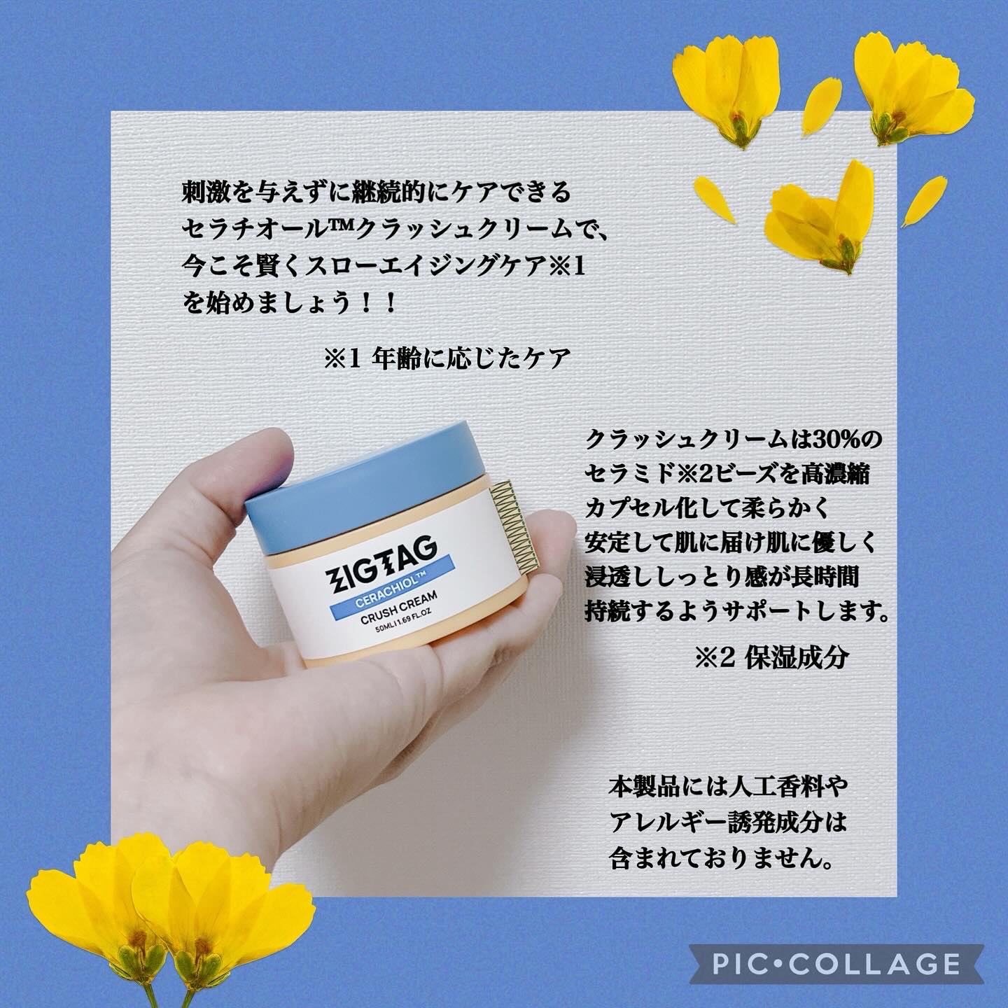 フェイスクリーム Junio NDP Cica Bio-Placenta Cream 50ml | OLIVE YOUNG Global