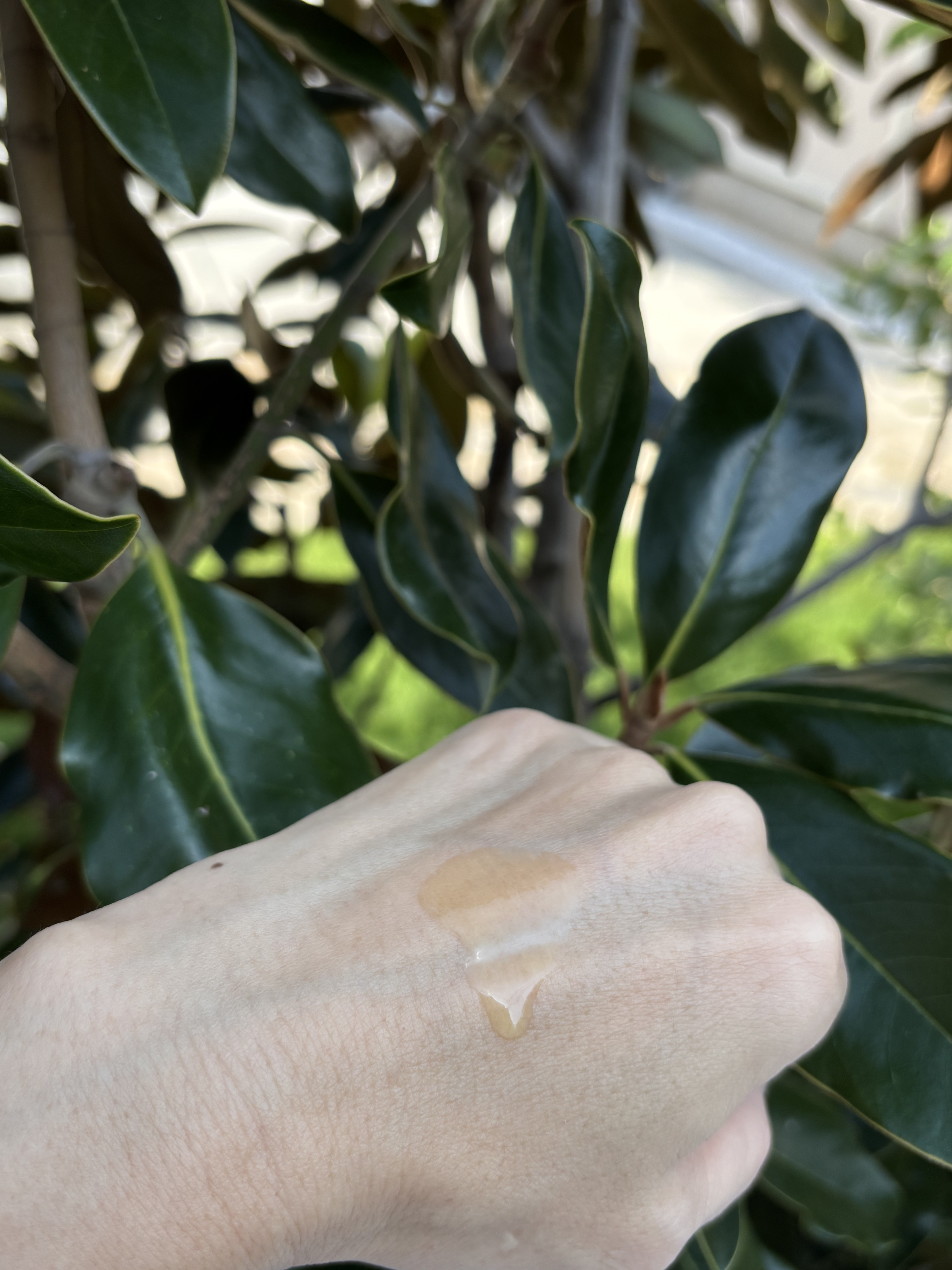 ボタニスト サンタル リペアヘアオイル/BOTANIST/ヘアオイルを使ったクチコミ（2枚目）