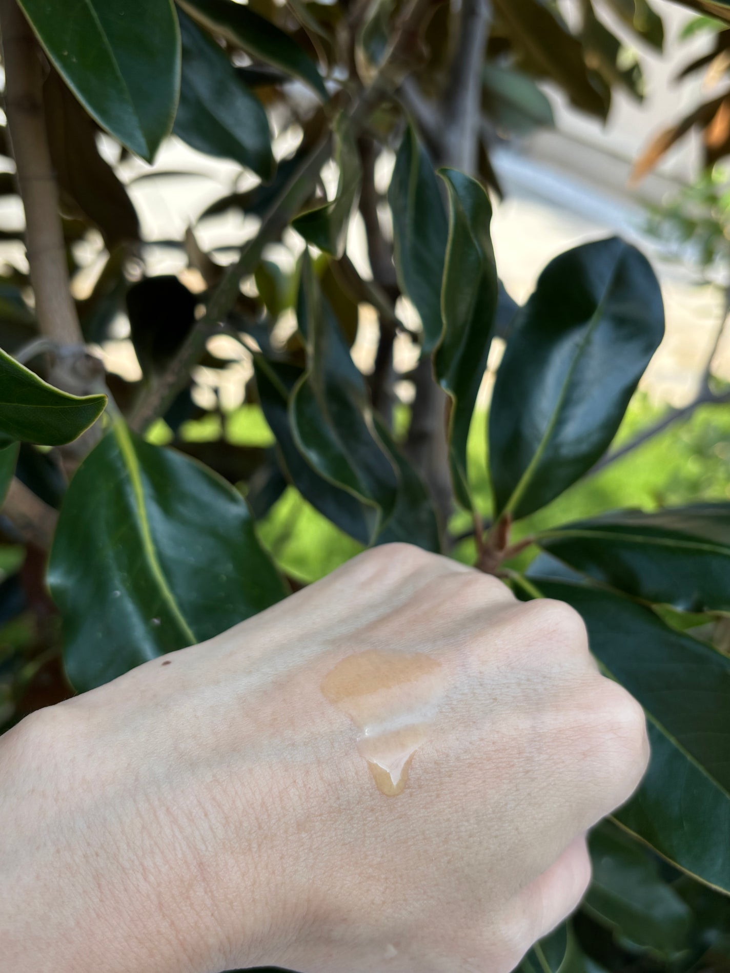 ボタニスト サンタル リペアヘアオイル/BOTANIST/ヘアオイルを使ったクチコミ(2枚目)