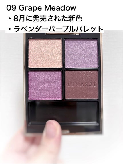 ルナソル アイカラーレーションN/LUNASOL/アイシャドウパレットを使ったクチコミ(2枚目)