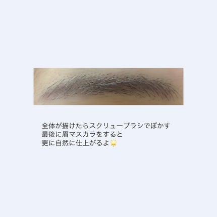 アイブロウ コンパクト/ANNA SUI/パウダーアイブロウを使ったクチコミ(3枚目)