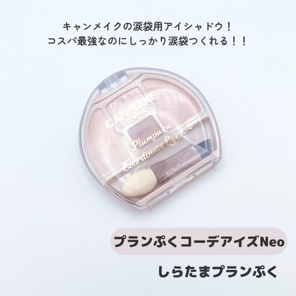 プランぷくコーデアイズNeo/キャンメイク/アイシャドウを使ったクチコミ(2枚目)