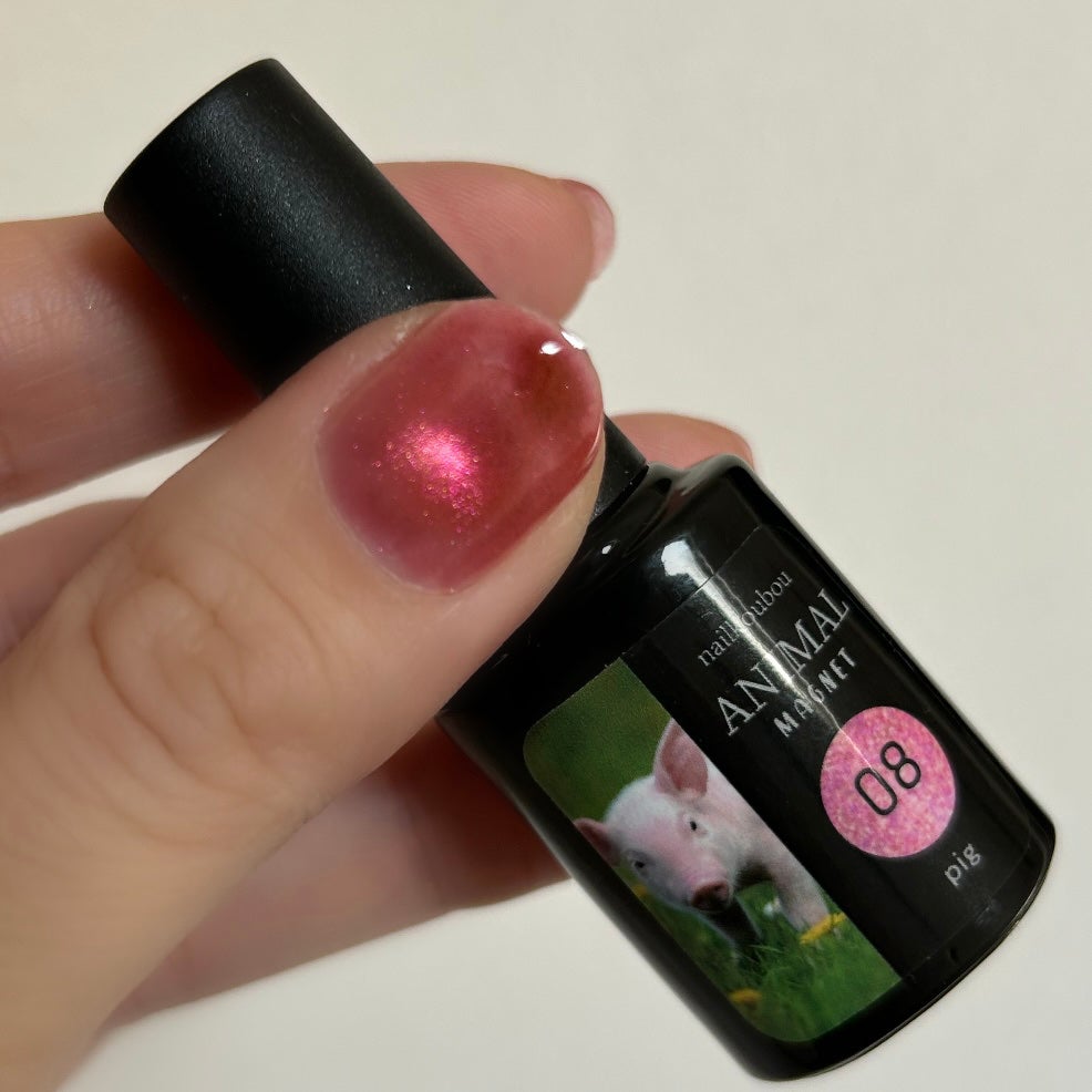 アニマルマグネットジェル/ネイル工房/ジェルネイルを使ったクチコミ(5枚目)
