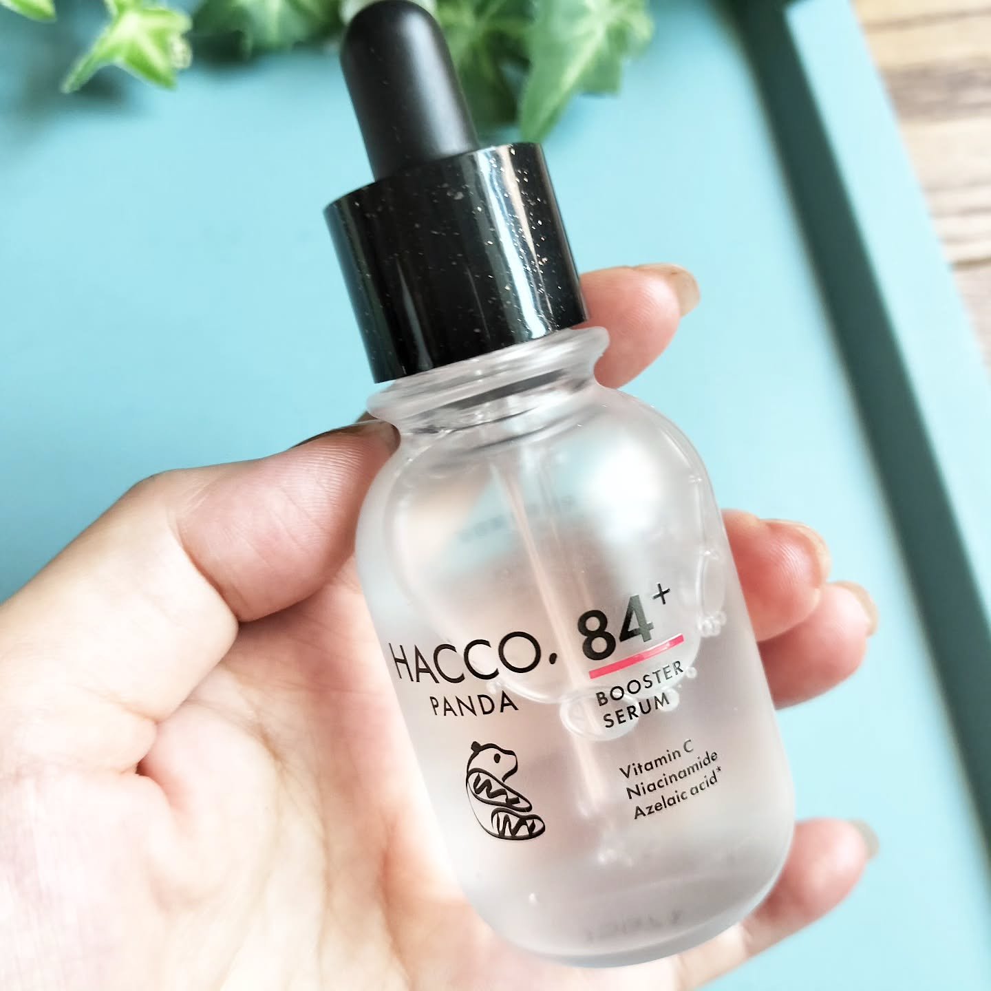 ハッコウパンダ 発酵導入美容液/HACCO.PANDA/ブースター・導入液を使ったクチコミ（2枚目）