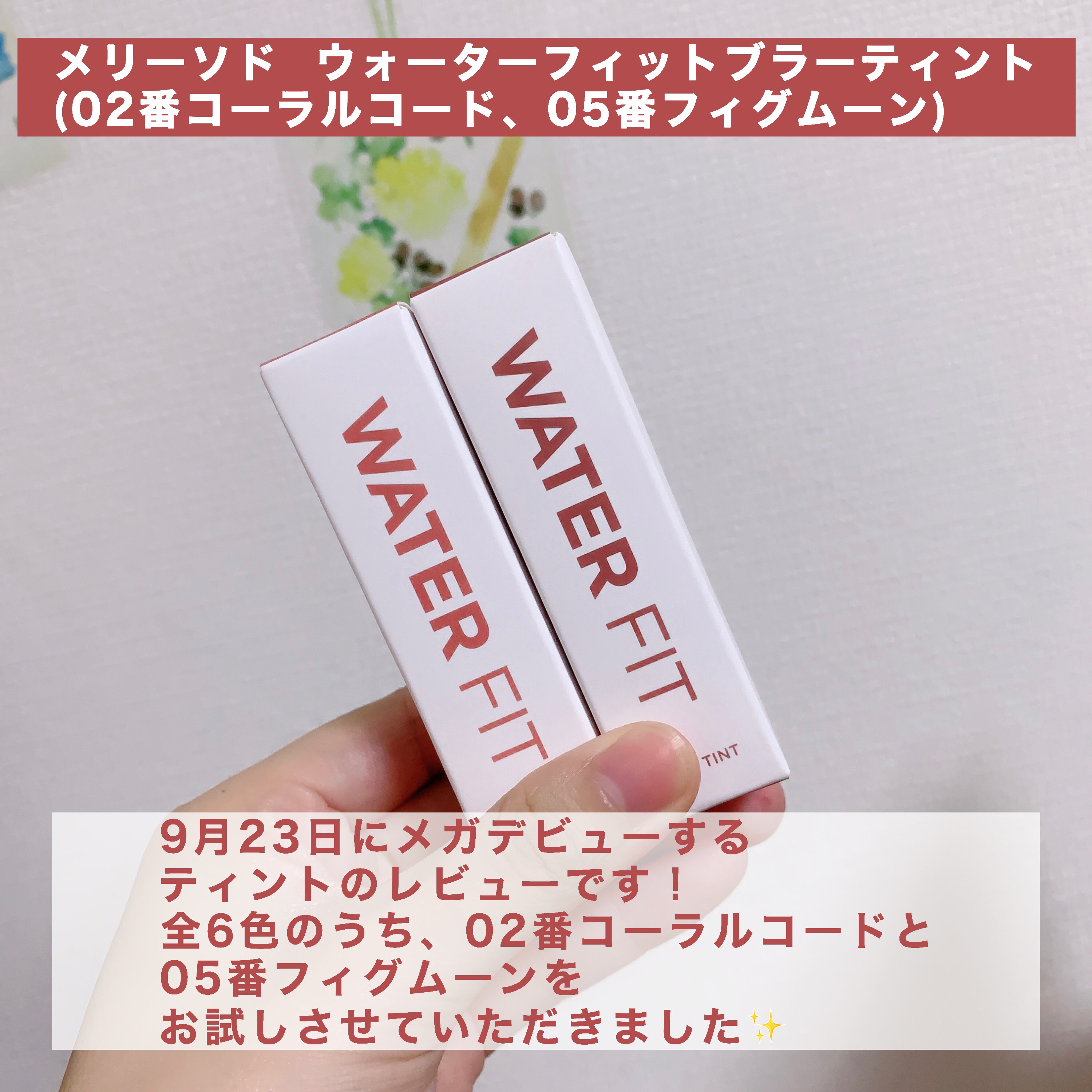 ウォーターフィットブラーティント/MERYTHOD/リップティントを使ったクチコミ（2枚目）