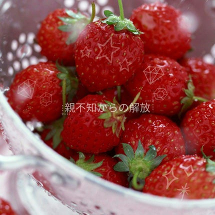 inゼリー/森永製菓/ゼリー飲料を使ったクチコミ(1枚目)