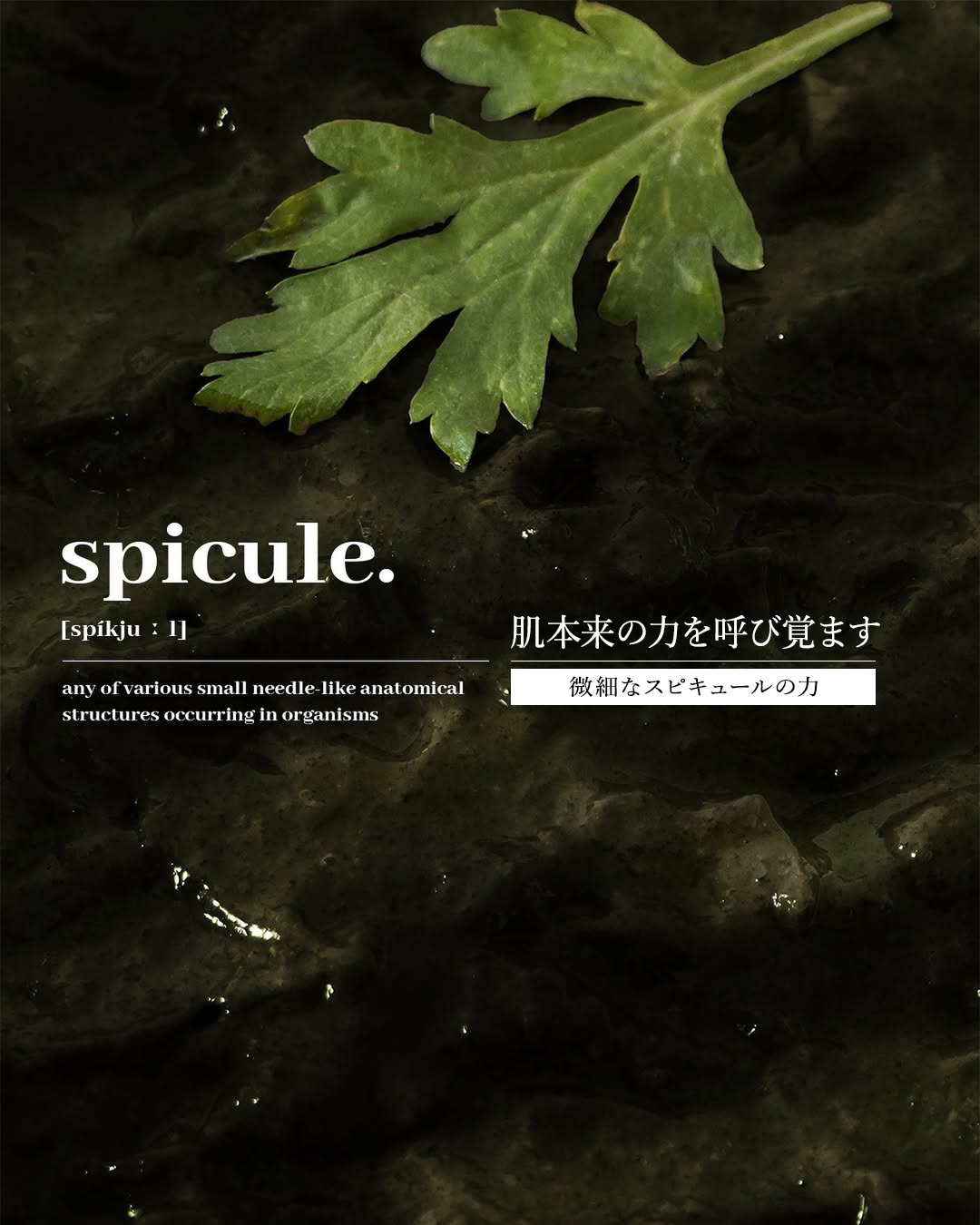 ティーツリーハーブピーリングパック/WellDerma/洗い流すパック・マスクを使ったクチコミ（2枚目）