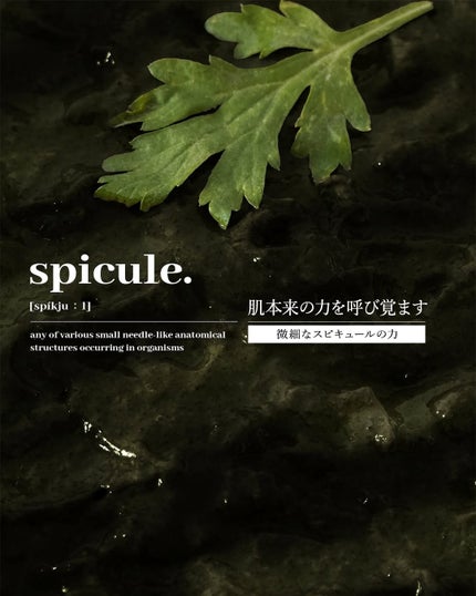 ティーツリーハーブピーリングパック/WellDerma/洗い流すパック・マスクを使ったクチコミ(2枚目)