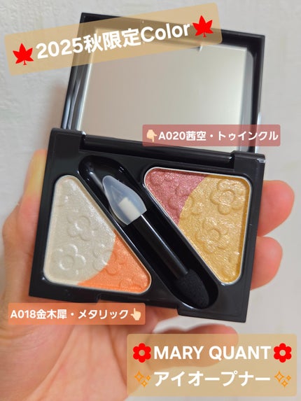 アイオープナー/MARY QUANT/単色アイシャドウを使ったクチコミ(1枚目)