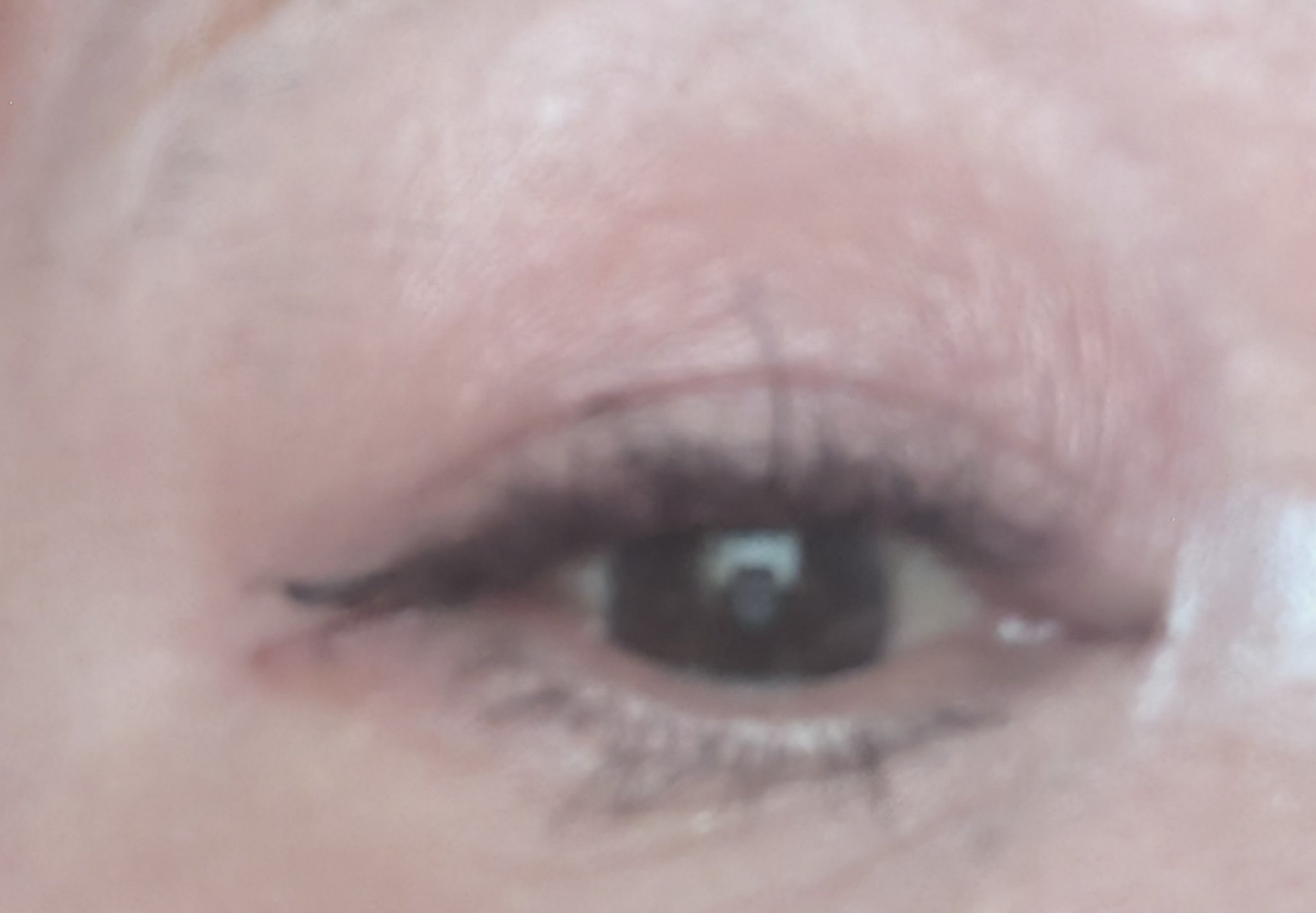 プライムリキッドアイライナー リッチキープ/ヒロインメイク/リキッドアイライナーを使ったクチコミ（2枚目）