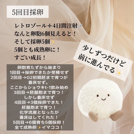 オオクサ桂枝茯苓丸(医薬品)/日邦薬品/その他を使ったクチコミ(6枚目)