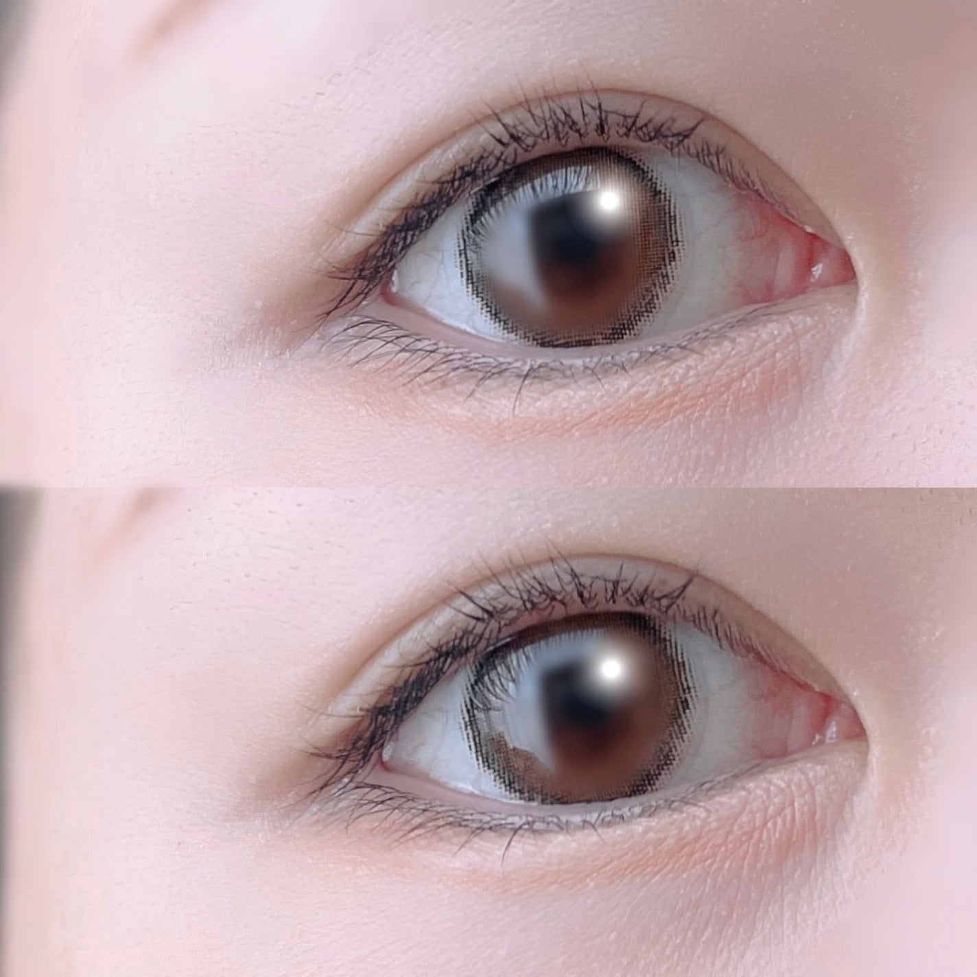 プランぷくコーデアイズ/キャンメイク/パウダーアイシャドウを使ったクチコミ(4枚目)