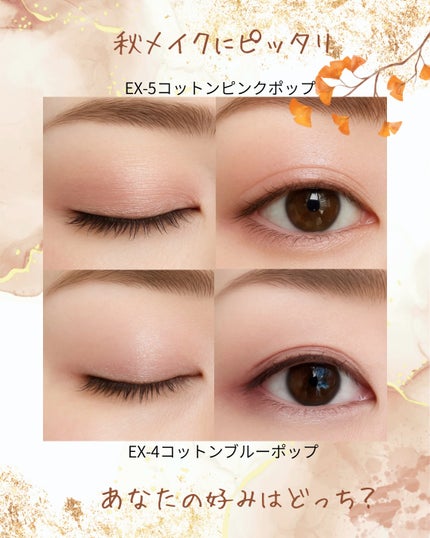 ケイト ポッピングシルエットシャドウ/KATE/アイシャドウパレットを使ったクチコミ(5枚目)