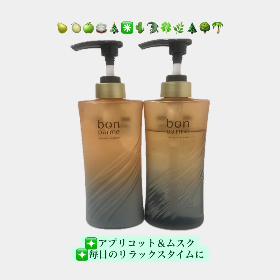 ãã³ãªã㢠ã·ã£ã³ããŒ/ããªãŒãã¡ã³ã/bonparme/ã·ã£ã³ããŒã»ã³ã³ãã£ã·ã§ããŒã䜿ã£ãã¯ãã³ãïŒ1æç®ïŒ