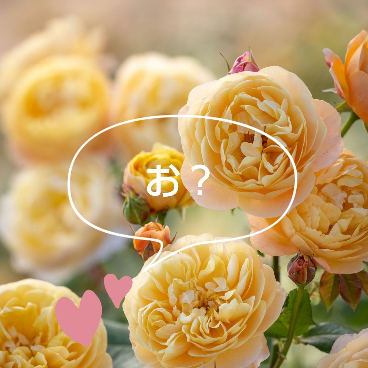 ベターザンアイズ ミルクシリーズ/rom&nd/アイシャドウパレットを使ったクチコミ(1枚目)