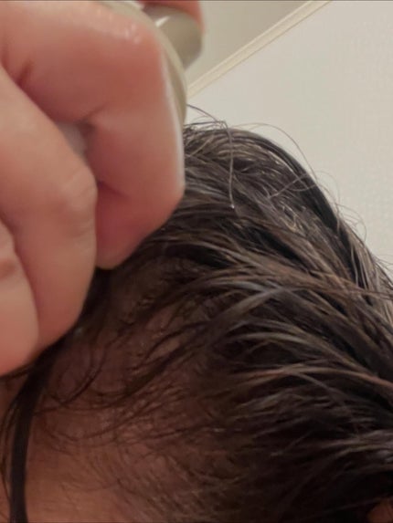 マイブースターズ インシルク ブースターミスト/マイブースターズ/アウトバストリートメントを使ったクチコミ(5枚目)