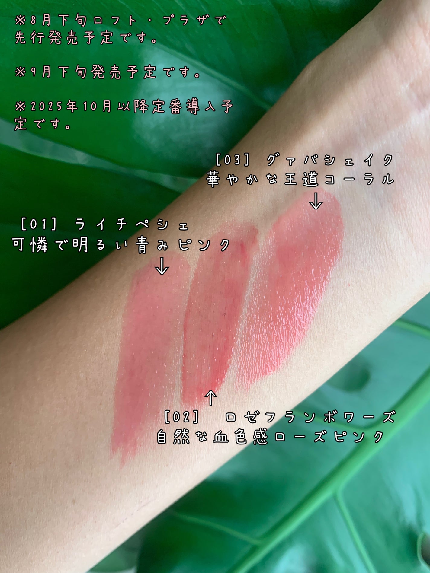 ラスターヴェールルージュ/キャンメイク/口紅を使ったクチコミ(2枚目)