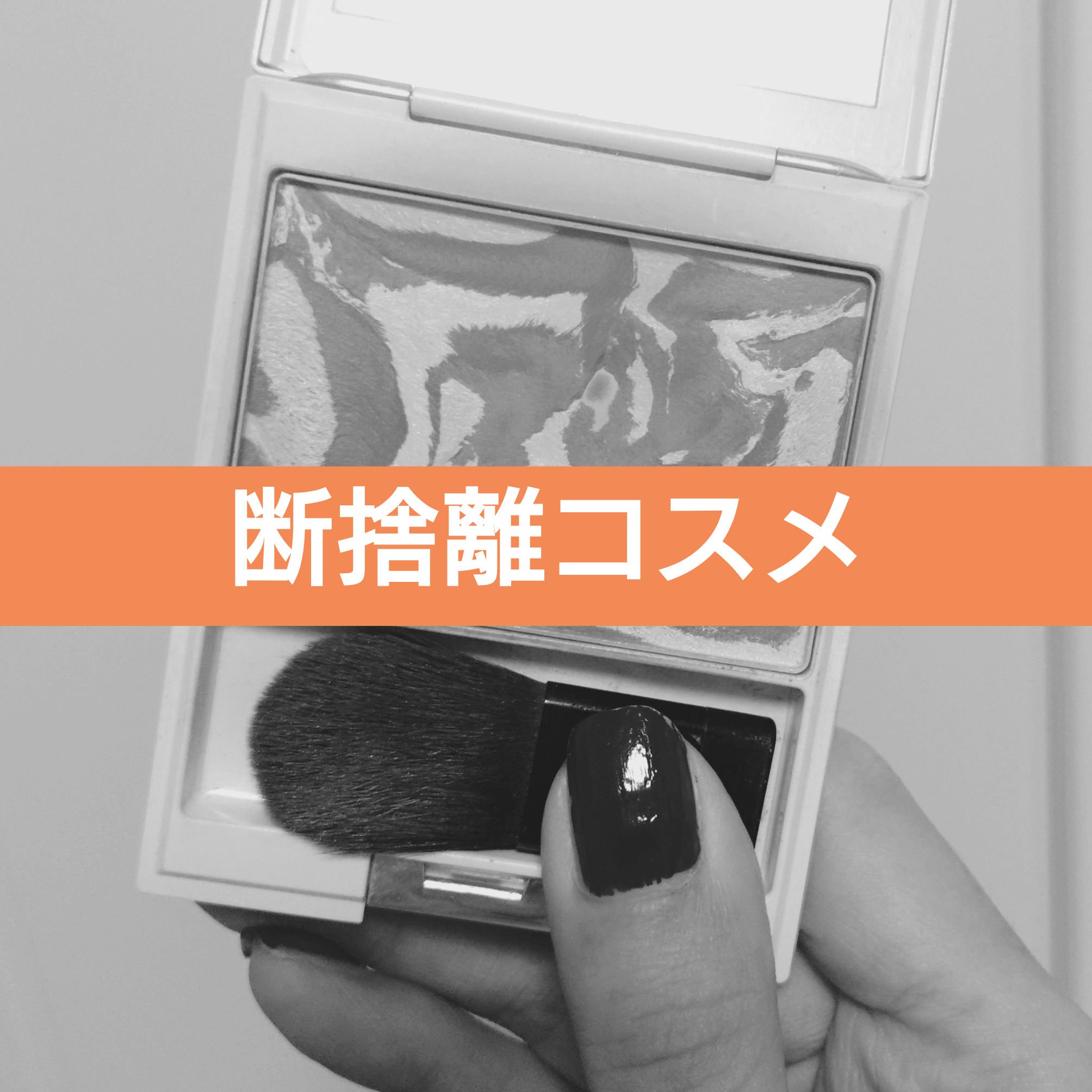 ピュア カラー ブラッシュ/SUQQU/パウダーチークを使ったクチコミ（1枚目）