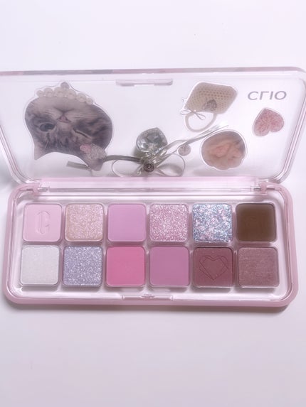 プロ アイ パレット エアー/CLIO/アイシャドウパレットを使ったクチコミ(2枚目)