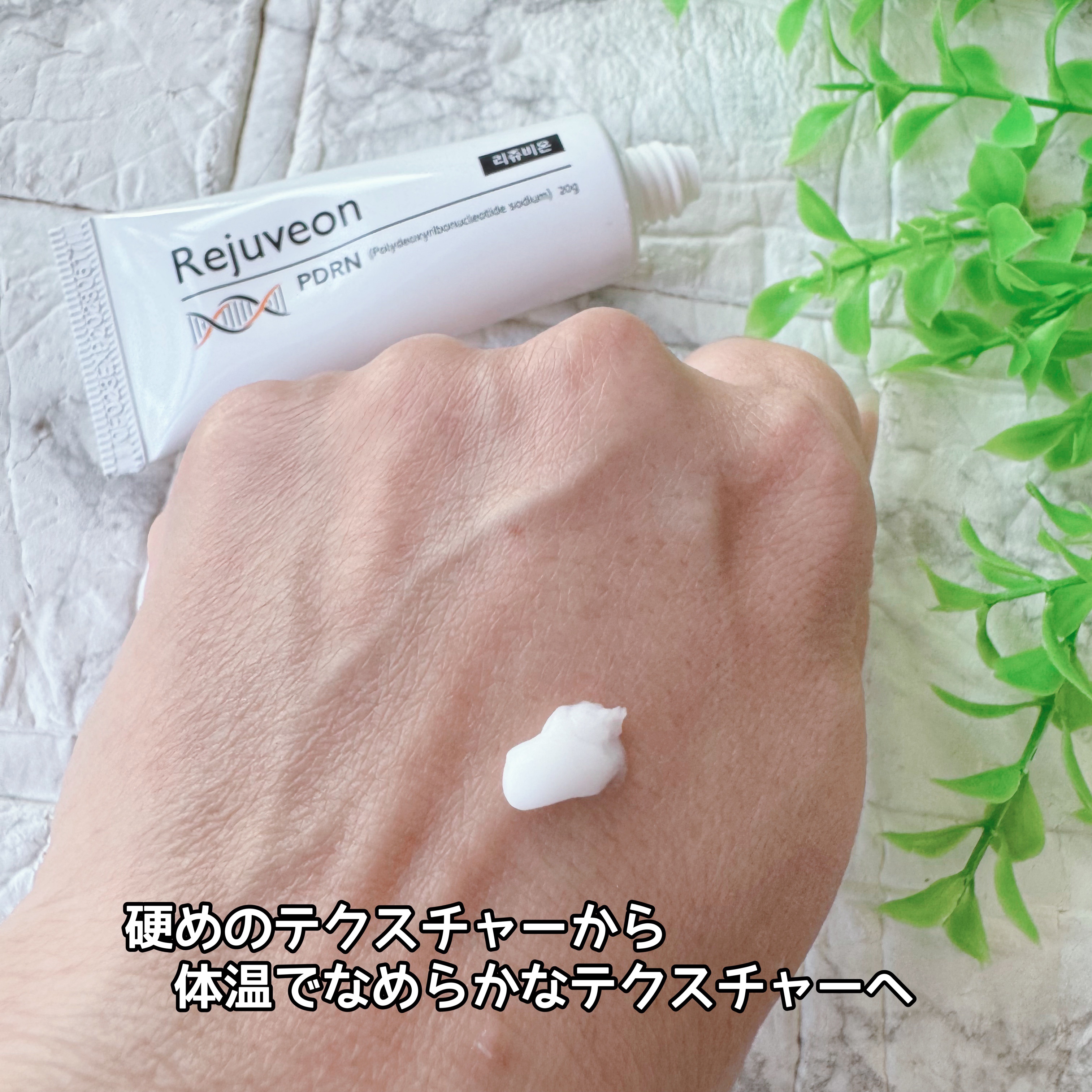 PDRN 1000 Plus Cream/Rejuveon/フェイスクリームを使ったクチコミ（3枚目）