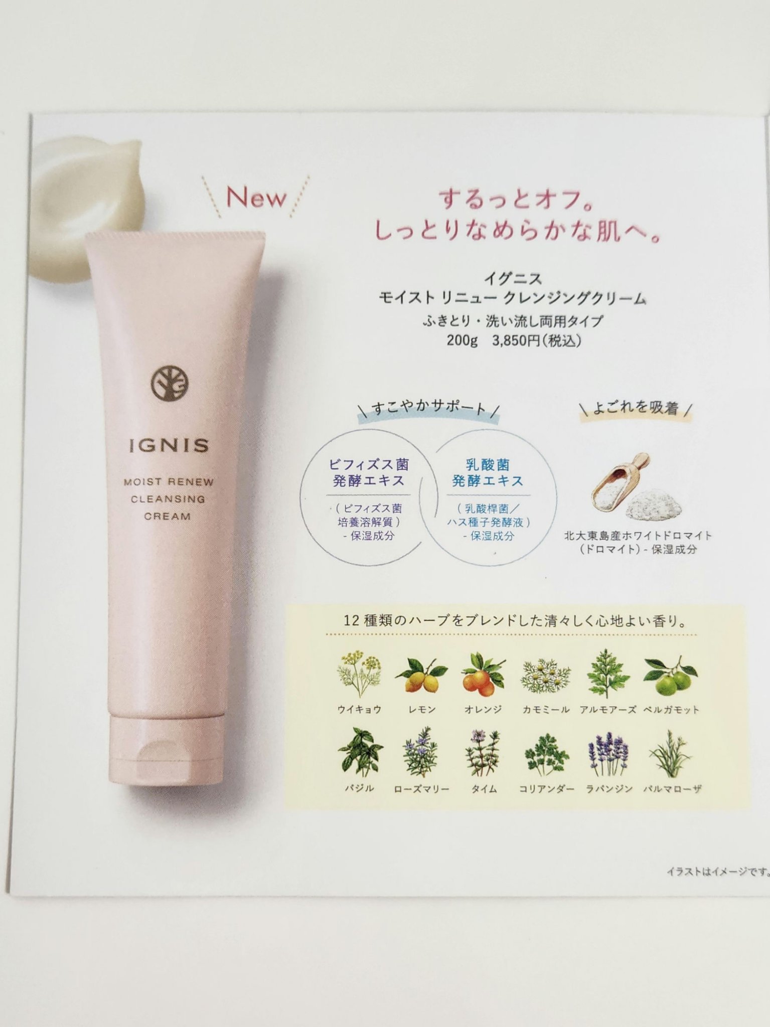 IGNIS モイスト リニュー クレンジングクリームのクチコミ「♡スキンケア♡

IGNIS
モイストニュークレンジングクリーム　サンプル

────────.....」（3枚目）