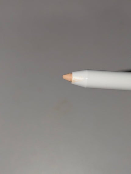 ウォータープルーフペンシルアイライナー 11 CORAL BRICK/SISTER ANN/ペンシルアイライナーの画像