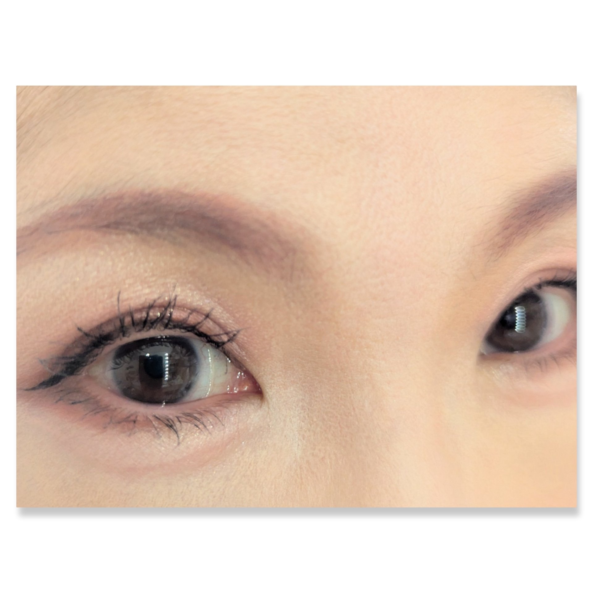 ニュアンス デューイ クリエイター/Visée/アイシャドウパレットを使ったクチコミ（2枚目）