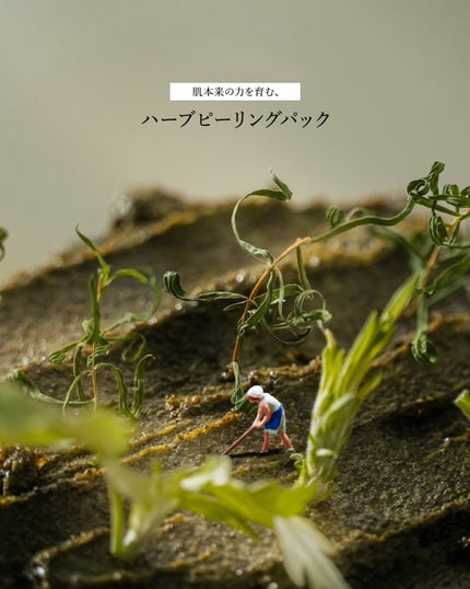 ティーツリーハーブピーリングパック/WellDerma/洗い流すパック・マスクを使ったクチコミ(1枚目)