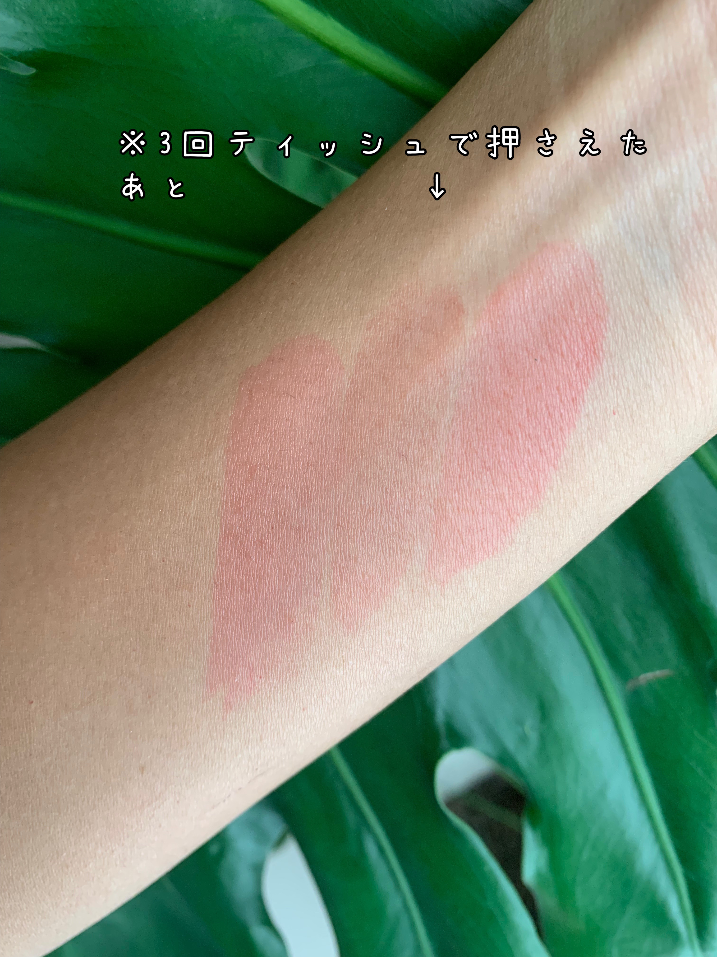 ラスターヴェールルージュ/キャンメイク/口紅を使ったクチコミ（3枚目）